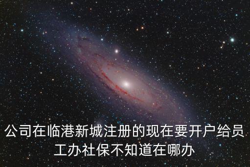 公司在臨港新城注冊的現(xiàn)在要開戶給員工辦社保不知道在哪辦