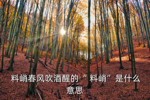 寒風料峭,微寒字典解釋:指微微的寒冷和微風