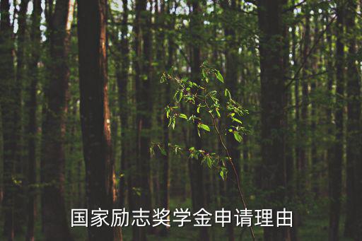 國家勵志獎學(xué)金申請理由