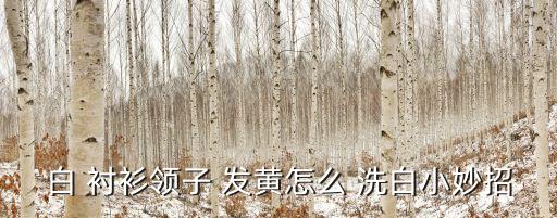 襯衫發(fā)黃怎么洗白