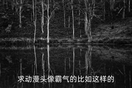 動漫霸氣頭像，求100100動漫頭像必須霸氣帥氣