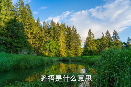 魁梧反義詞,胖子,逃跑反義詞換新頭像