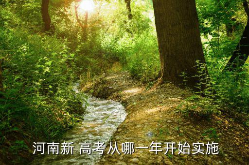  河南新 高考從哪一年開始實施