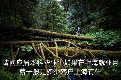 請(qǐng)問(wèn)應(yīng)屆本科畢業(yè)生如果在上海就業(yè)月薪一般是多少落戶上海有什