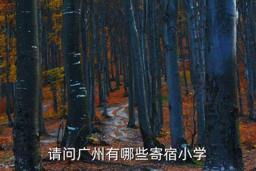 請問廣州有哪些寄宿小學