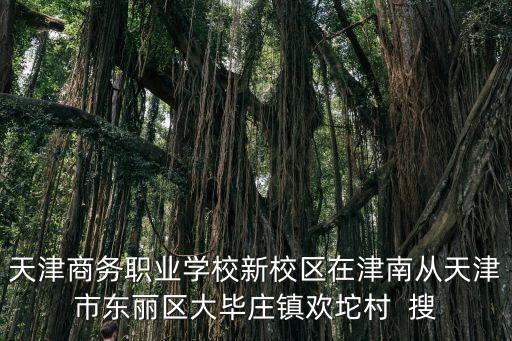 天津商務職業學校新校區在津南從天津市東麗區大畢莊鎮歡坨村  搜
