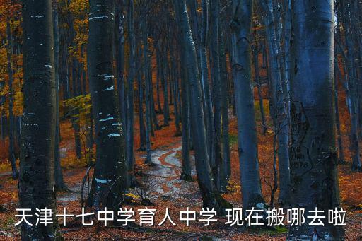 天津十七中學(xué)育人中學(xué) 現(xiàn)在搬哪去啦