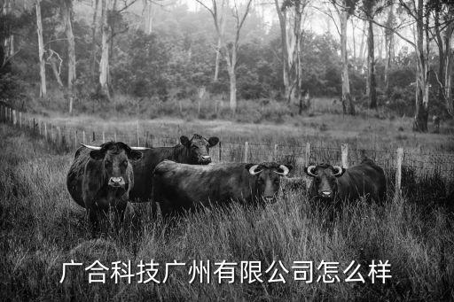 廣合科技廣州有限公司怎么樣