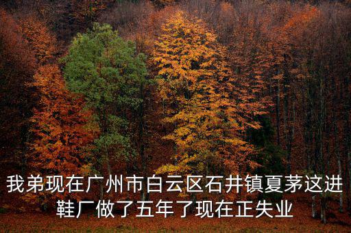 我弟現在廣州市白云區石井鎮夏茅這進鞋廠做了五年了現在正失業
