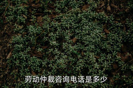勞動(dòng)仲裁咨詢電話是多少