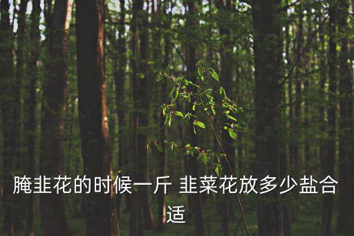 腌韭菜花,腌菜韭菜花注意事項一文看懂
