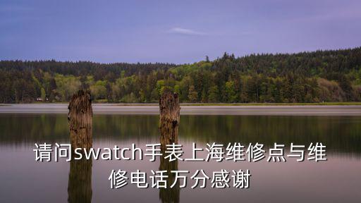 請問swatch手表上海維修點與維修電話萬分感謝