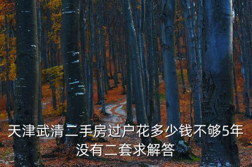 天津武清二手房過戶花多少錢不夠5年沒有二套求解答