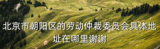 朝陽區有仲裁委嗎，北京市朝陽區的勞動仲裁委員會具體地址在哪里謝謝