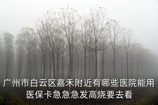 廣州市白云區嘉禾附近有哪些醫院能用醫保卡急急急發高燒要去看