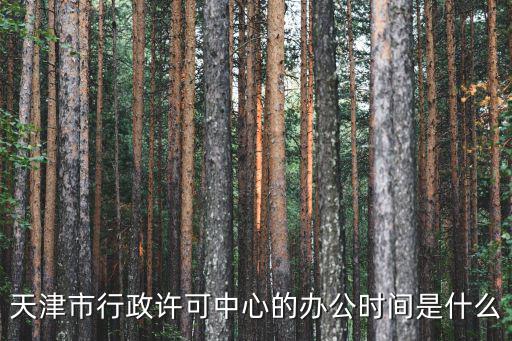 天津市行政許可中心的辦公時間是什么