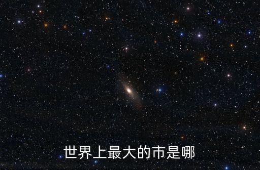 世界上最大的市是哪