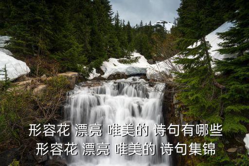  形容花 漂亮 唯美的 詩句有哪些 形容花 漂亮 唯美的 詩句集錦