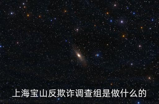 上海寶山反欺詐調查組是做什么的