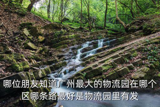 廣州物流園區哪個物流園最大，哪位朋友知道廣州最大的物流園在哪個區哪條路最好是物流園里有發