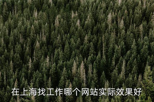在上海找工作哪個網站實際效果好