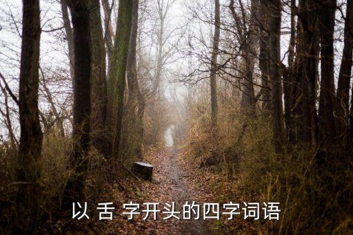 以 舌 字開頭的四字詞語