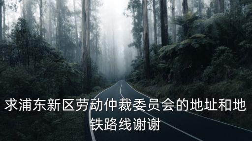 求浦東新區勞動仲裁委員會的地址和地鐵路線謝謝