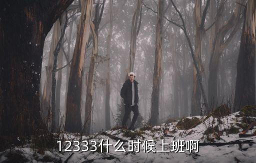 12333什么時候上班啊