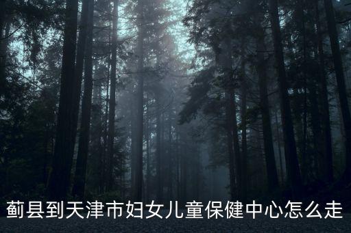 薊縣到天津市婦女兒童保健中心怎么走