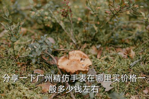 分享一下廣州精仿手表在哪里買價(jià)格一般多少錢左右