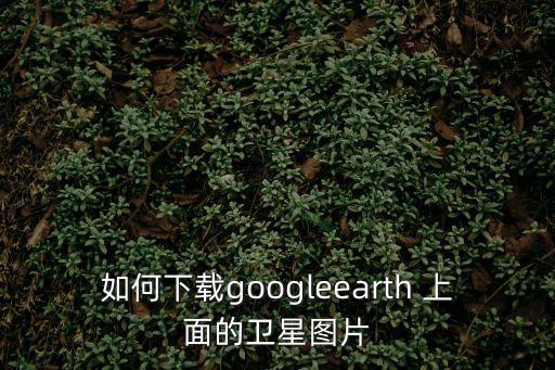 如何下載googleearth 上面的衛(wèi)星圖片