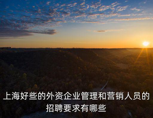 上海好些的外資企業(yè)管理和營銷人員的招聘要求有哪些
