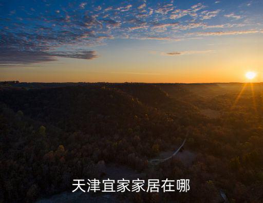 天津宜家家居在哪