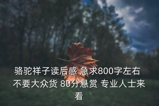 駱駝祥子讀后感 急求800字左右 不要大眾貨 80分懸賞 專業人士來看
