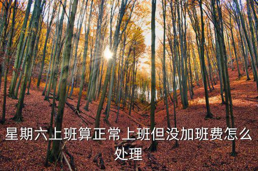 星期六上班算正常上班但沒加班費怎么處理