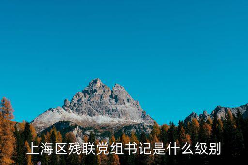 上海區殘聯黨組書記是什么級別
