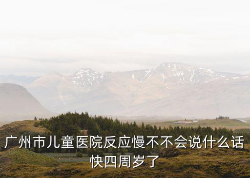 廣州市兒童醫(yī)院反應(yīng)慢不不會說什么話快四周歲了