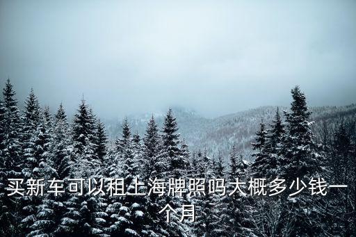 買新車可以租上海牌照嗎大概多少錢一個月
