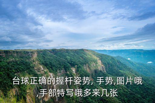 桌球手勢,乒乓球運動項目介紹與教練的聯系
