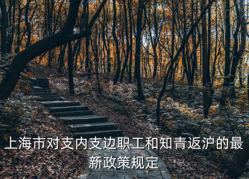 上海市對支內支邊職工和知青返滬的最新政策規定
