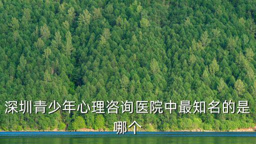深圳青少年心理咨詢醫院中最知名的是哪個