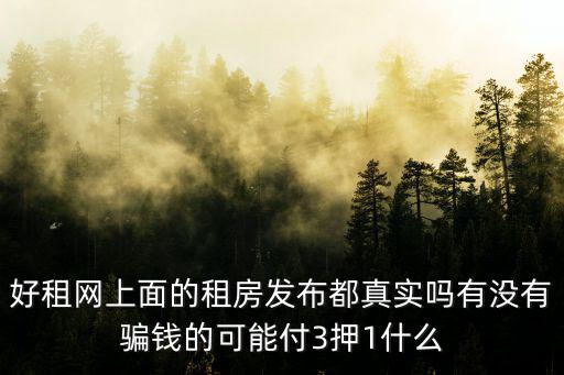 好租網上面的租房發布都真實嗎有沒有騙錢的可能付3押1什么