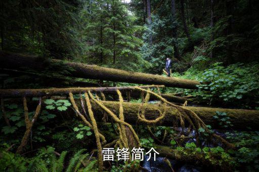  雷鋒簡介
