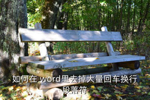 如何在 word里去掉大量回車換行段落符