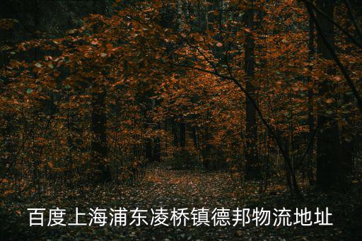 百度上海浦東凌橋鎮(zhèn)德邦物流地址