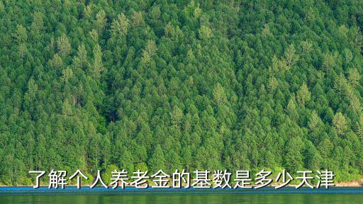 了解個人養(yǎng)老金的基數(shù)是多少天津