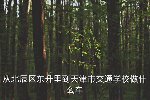 從北辰區東升里到天津市交通學校做什么車