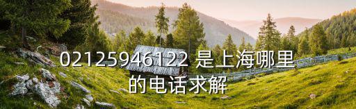 上海市控煤，02125946122 是上海哪里的電話求解