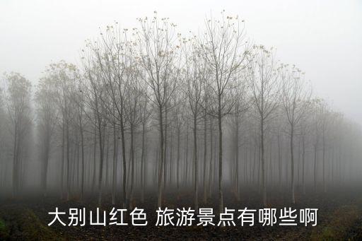 大別山旅游,大別山主峰天堂寨景區今天下午4點開放參觀