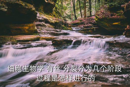 細(xì)胞生物學(xué) 有絲 分裂分為幾個(gè)階段 過程是怎樣進(jìn)行的